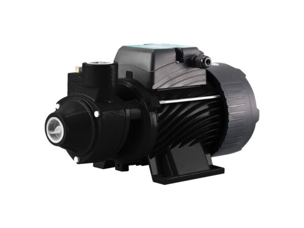 Dayliff 220W DC Solar Surface Pump - Image 2