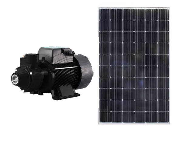 Dayliff 220W DC Solar Surface Pump